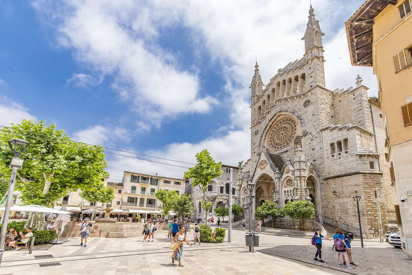 [object Object] - image