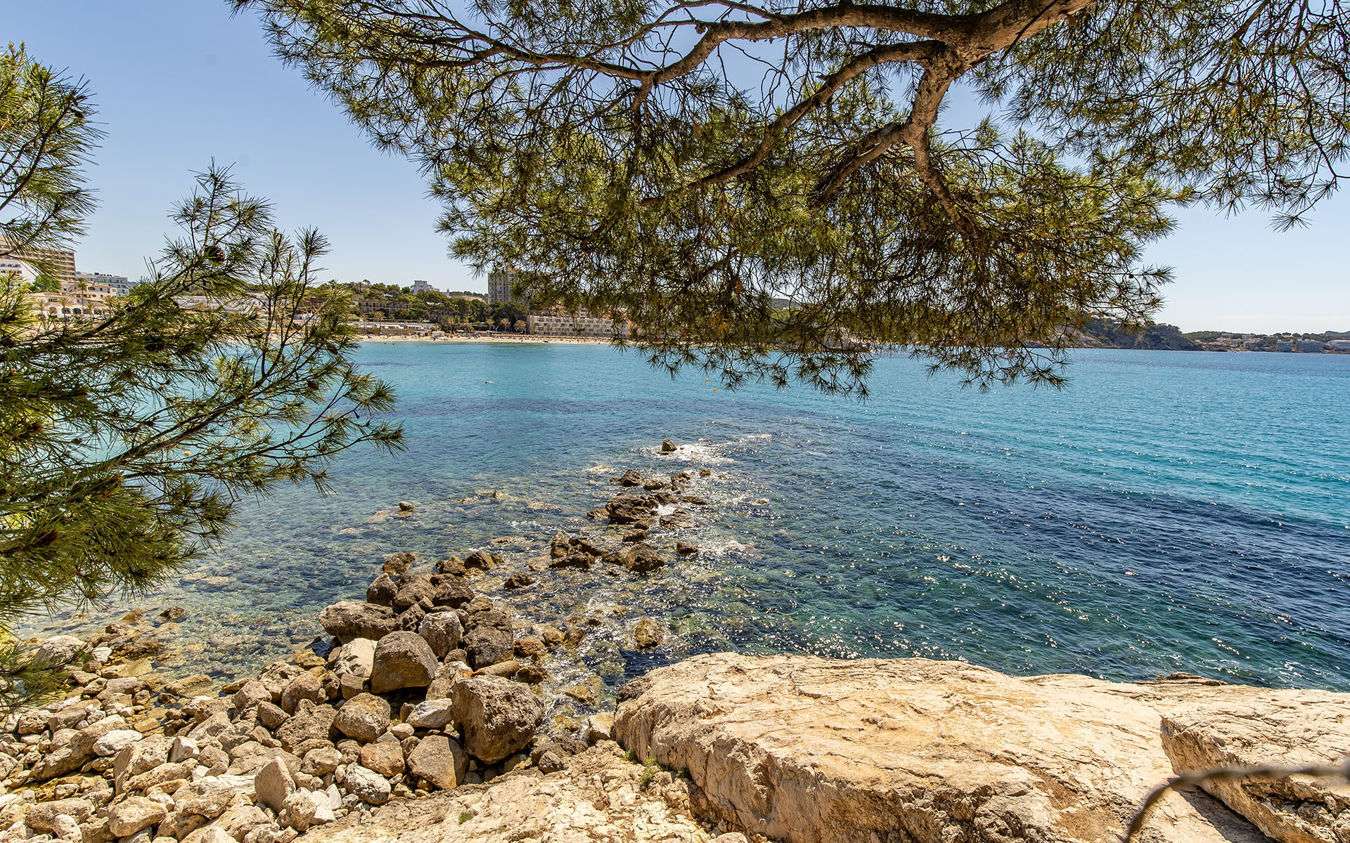 [object Object] - image