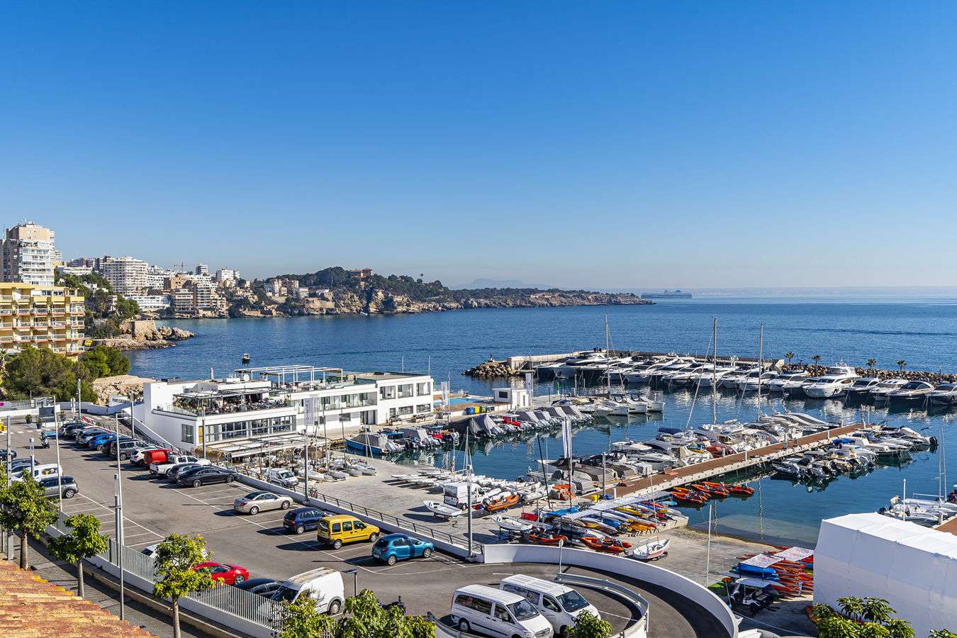 [object Object] - image