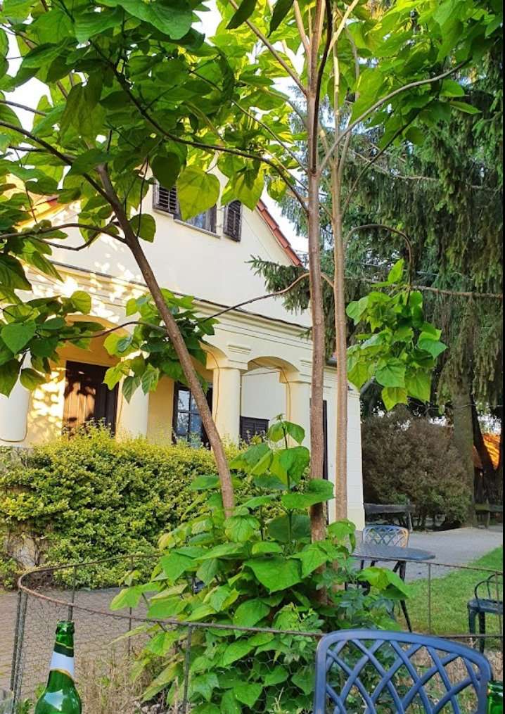 [object Object] - image