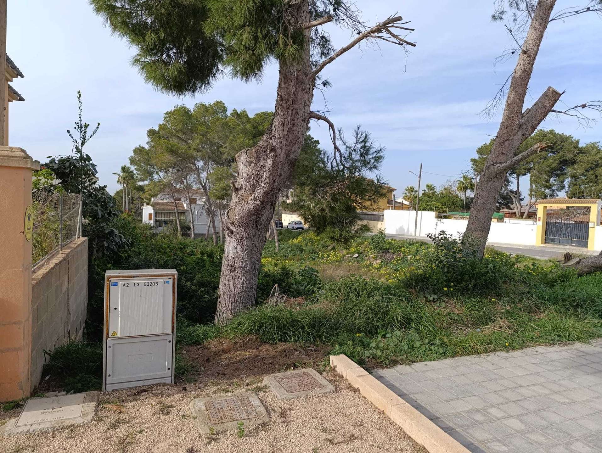 [object Object] - image