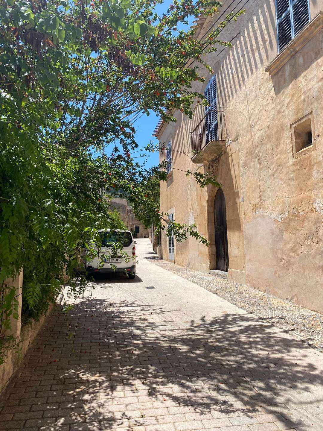 [object Object] - image