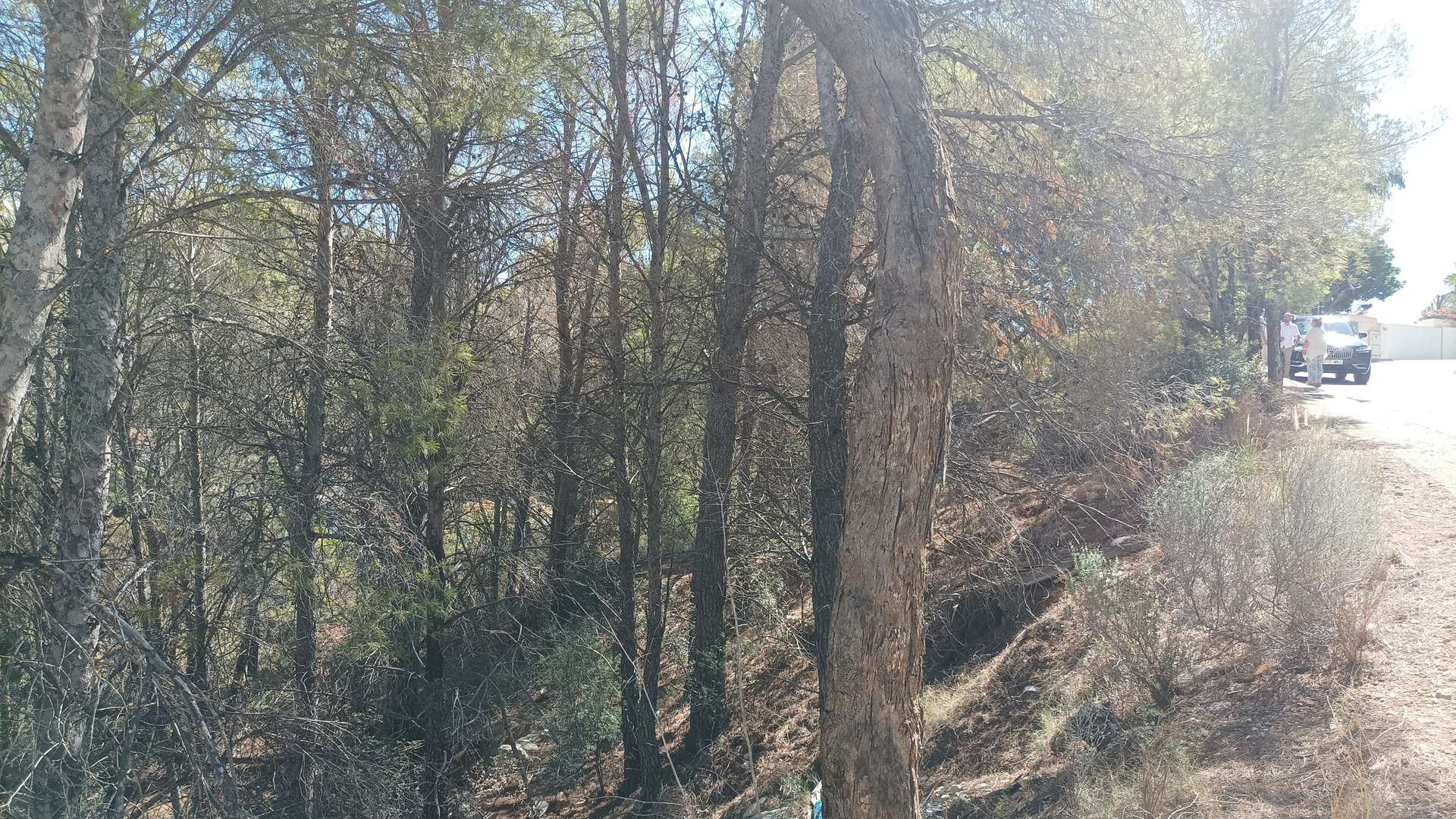 [object Object] - image