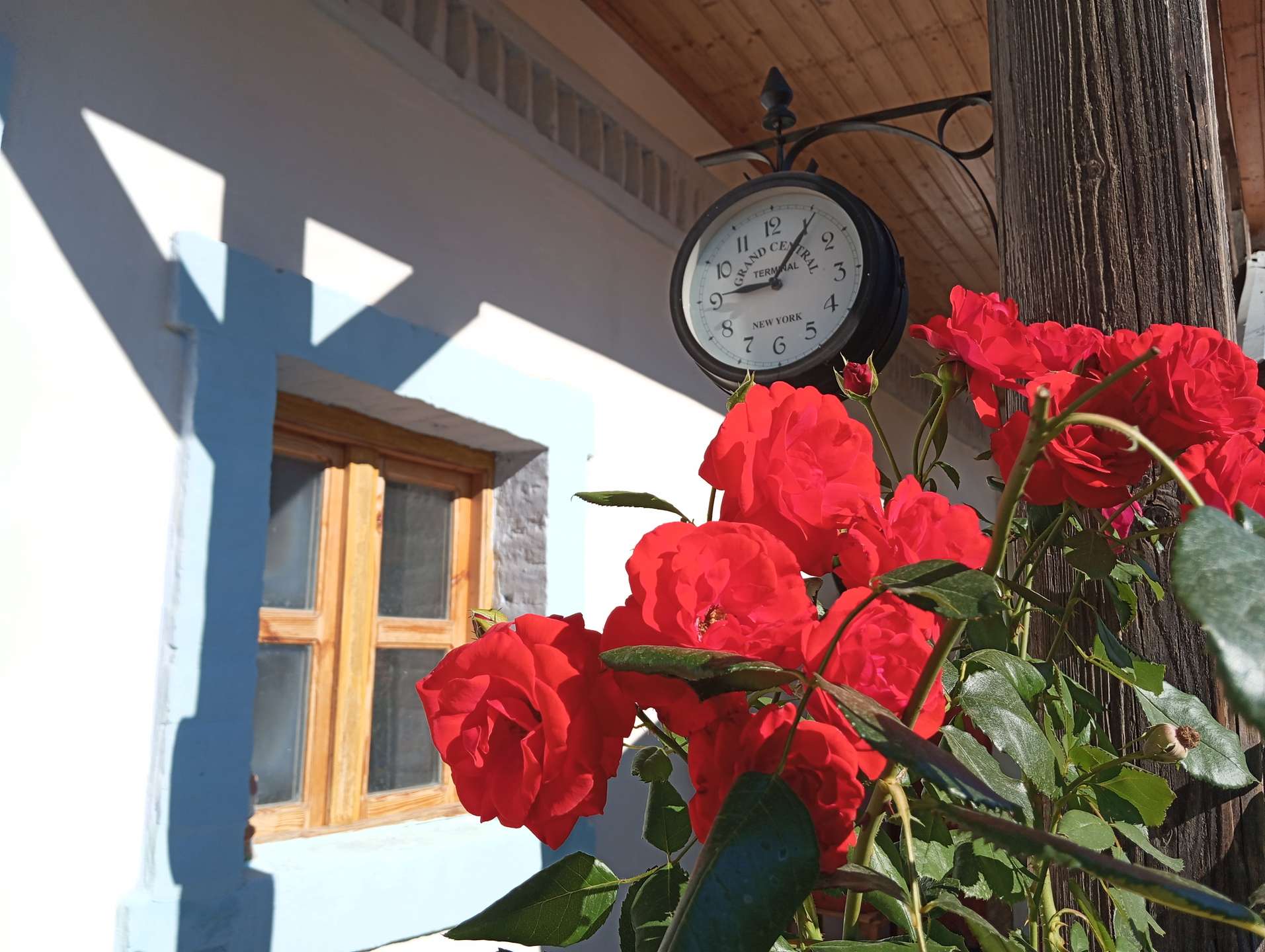 [object Object] - image