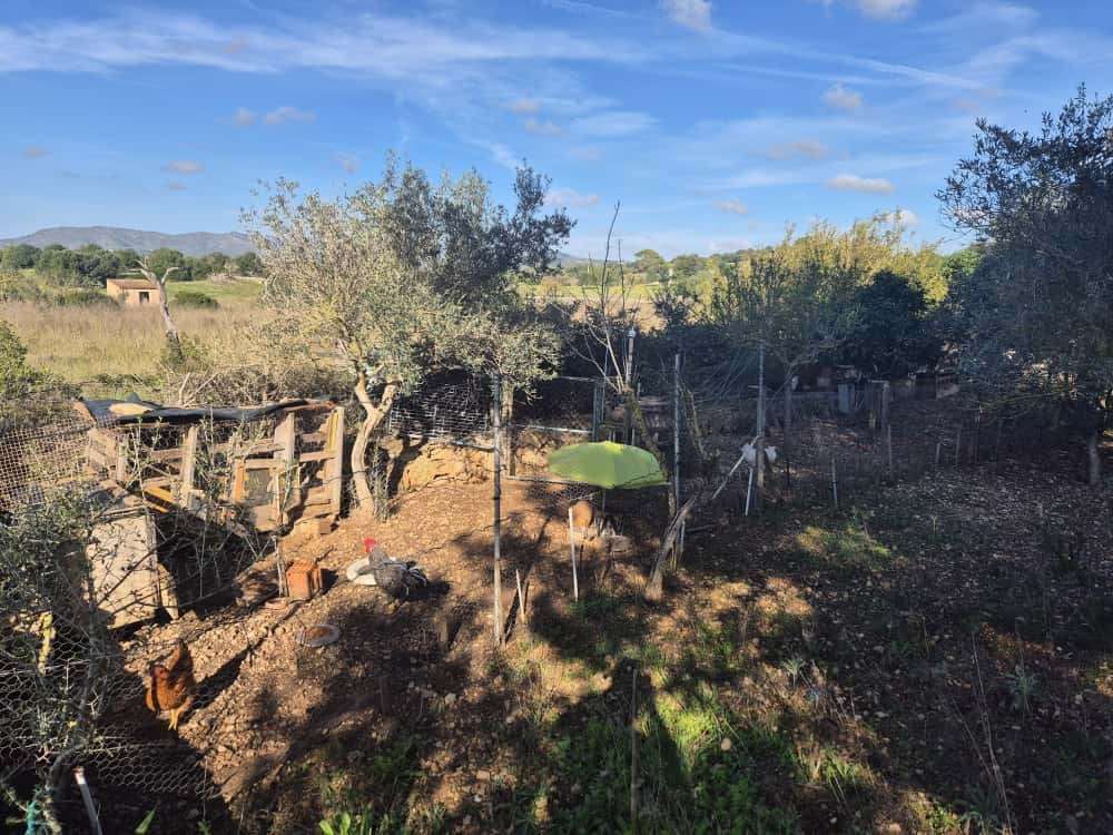 [object Object] - image