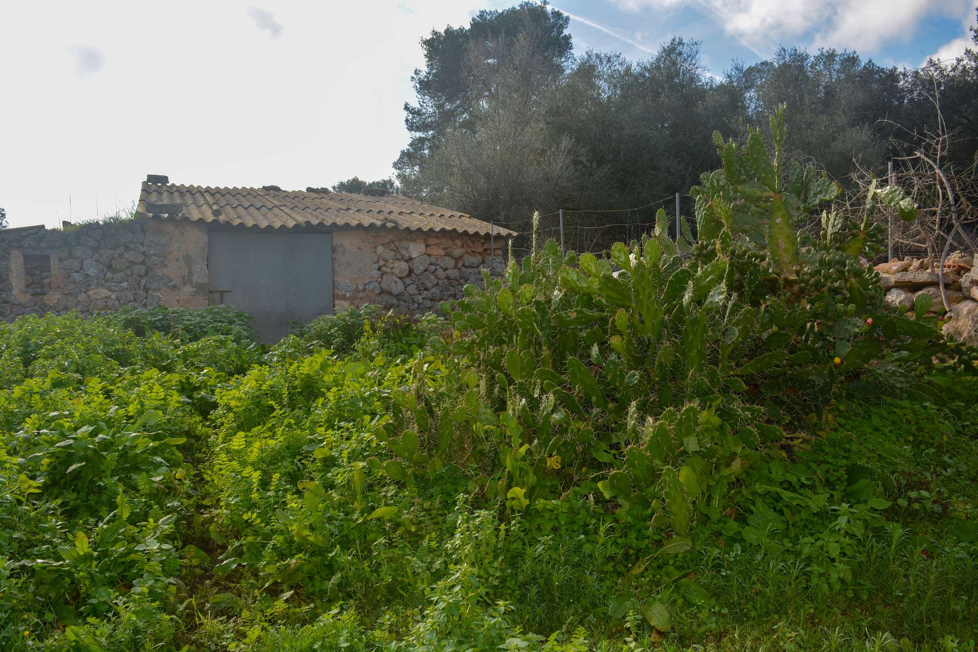 [object Object] - image