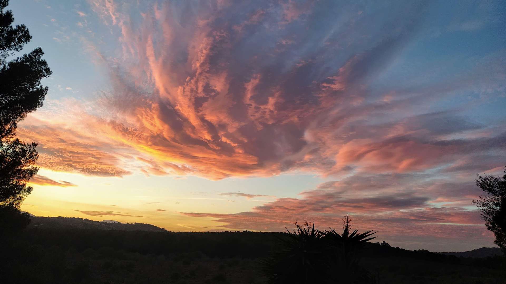 [object Object] - image