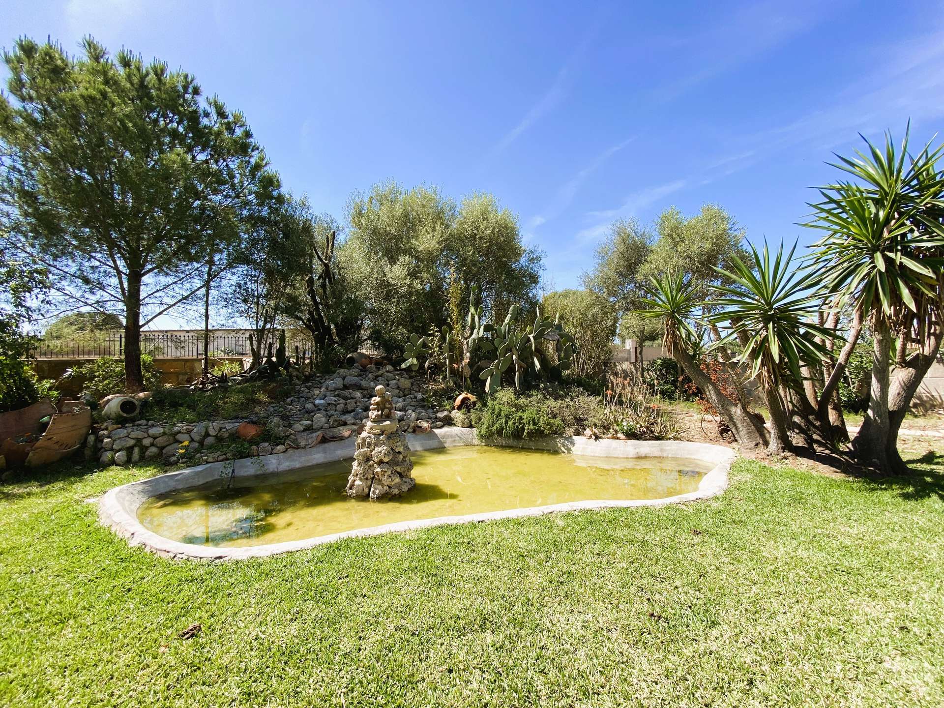 [object Object] - image