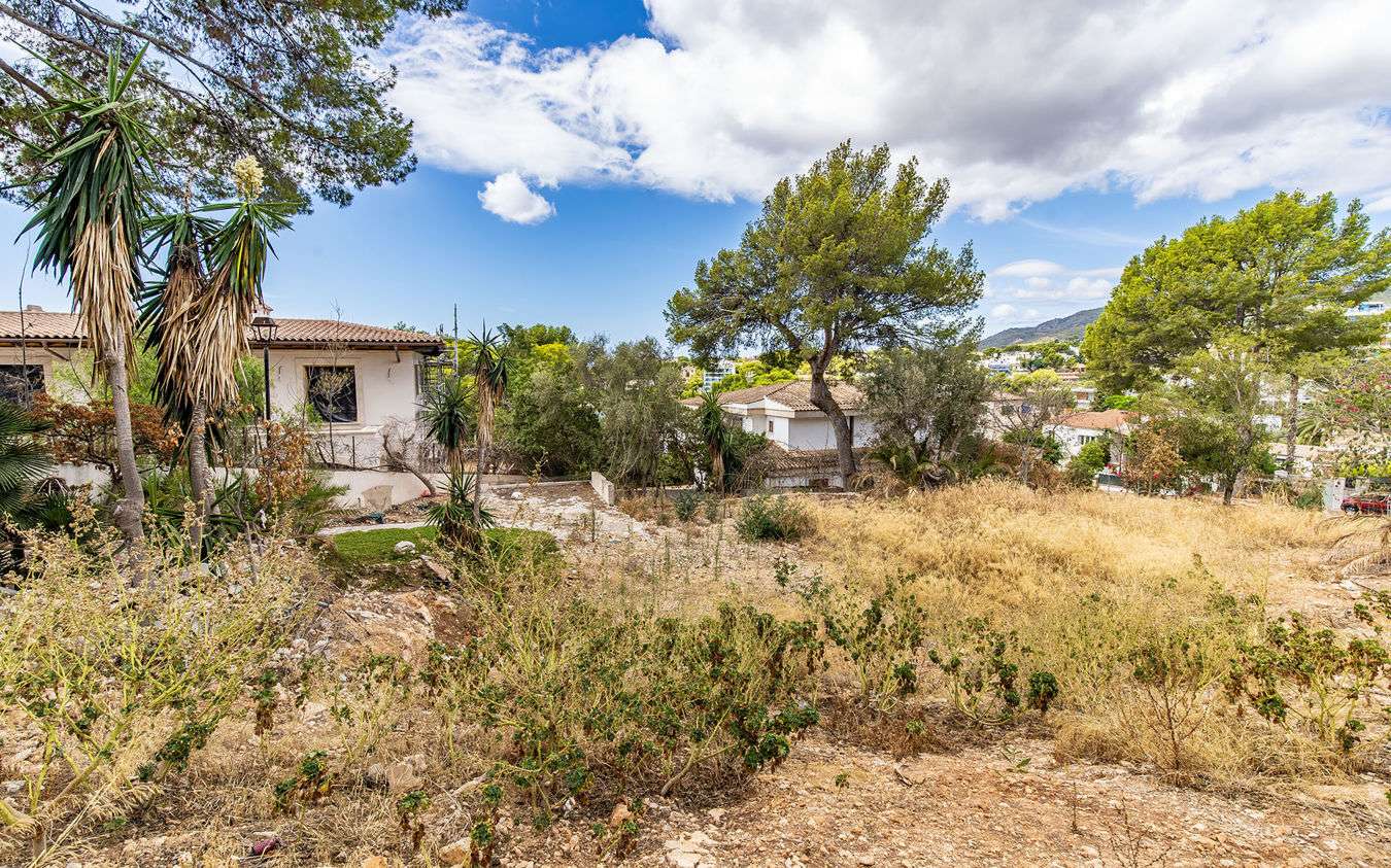 [object Object] - image