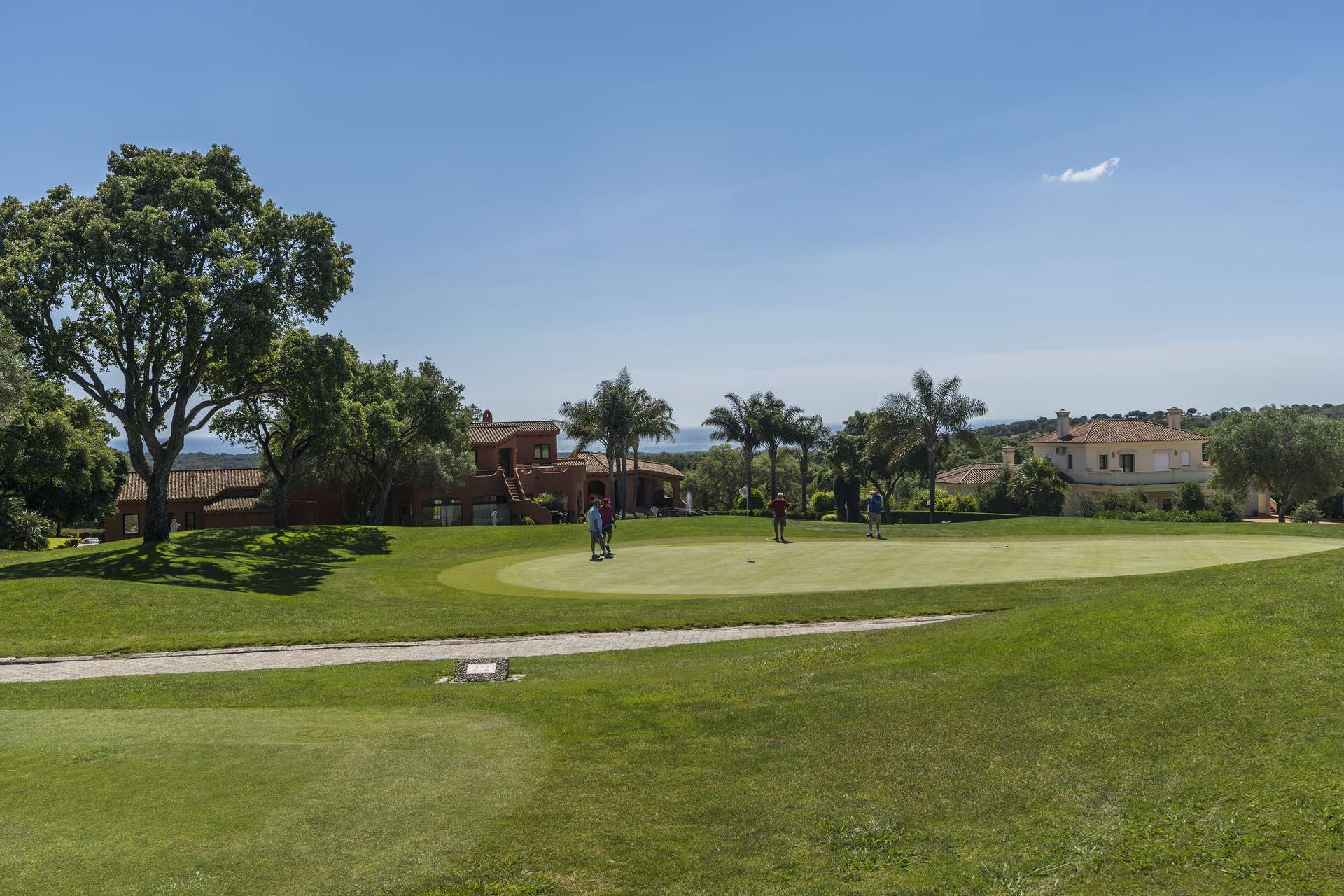 [object Object] - image