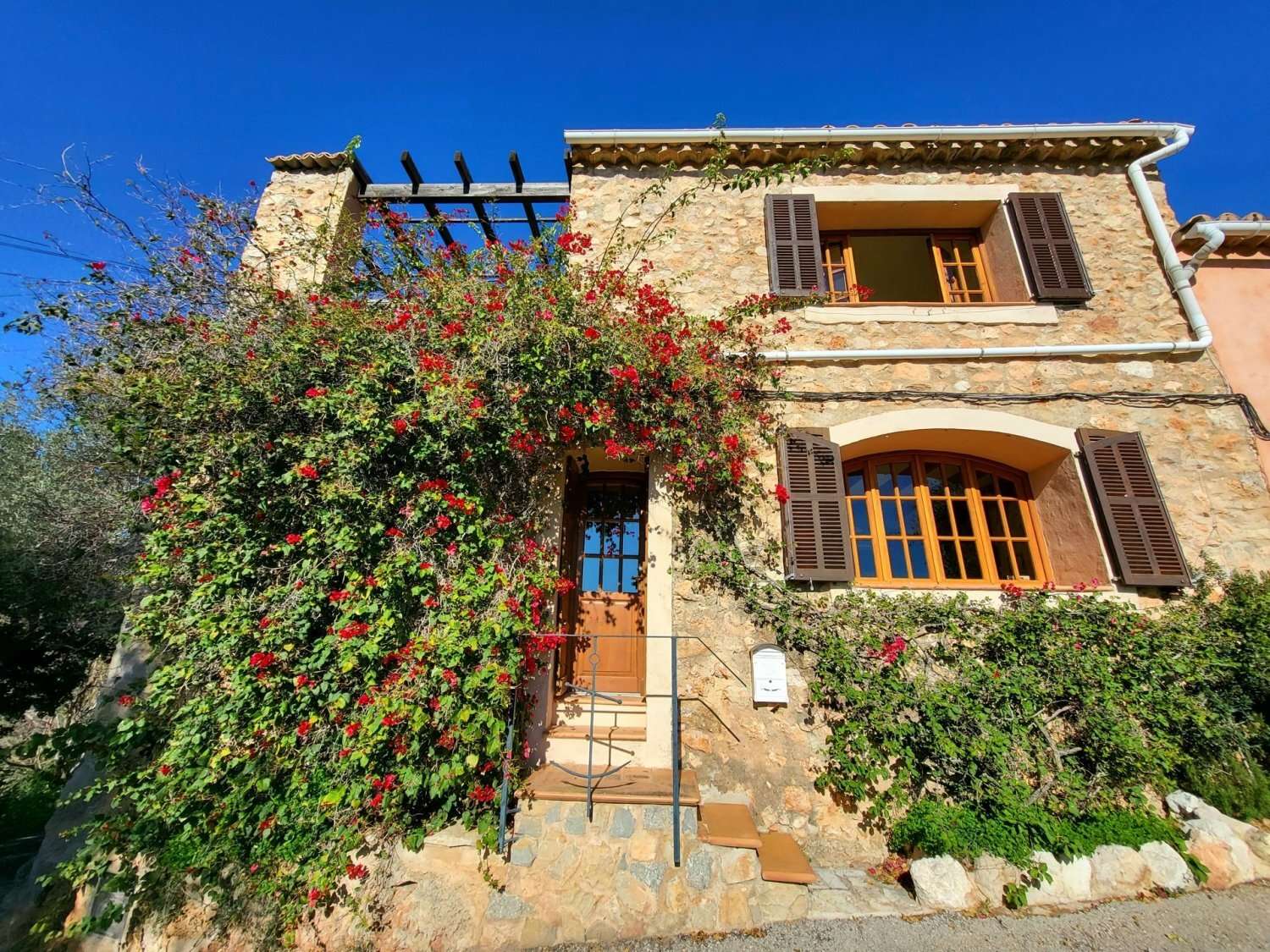 [object Object] - image