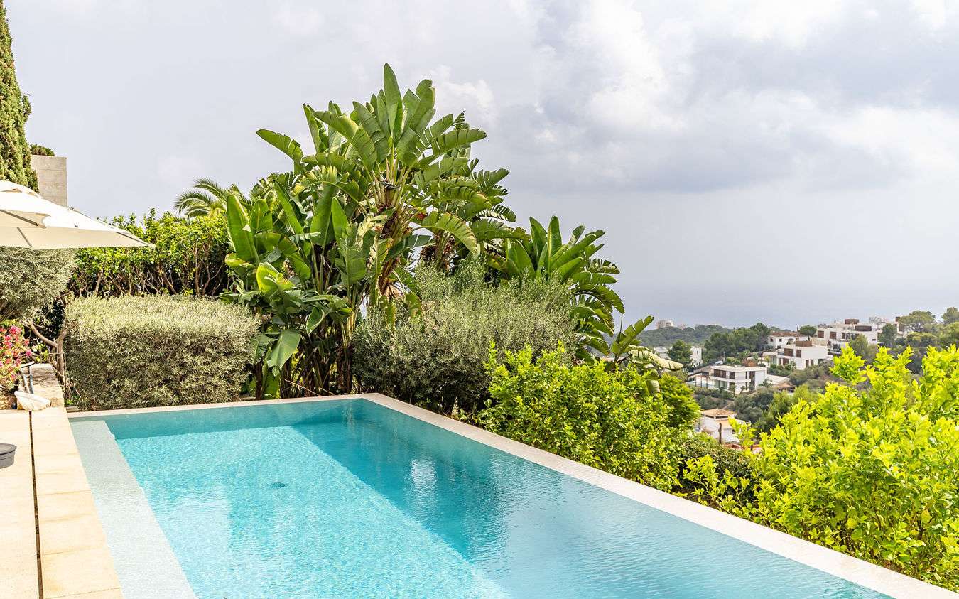 [object Object] - image