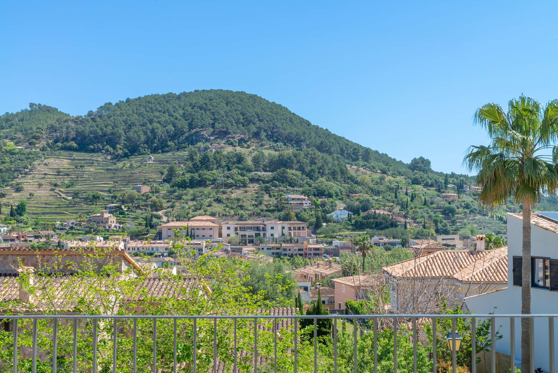 [object Object] - image