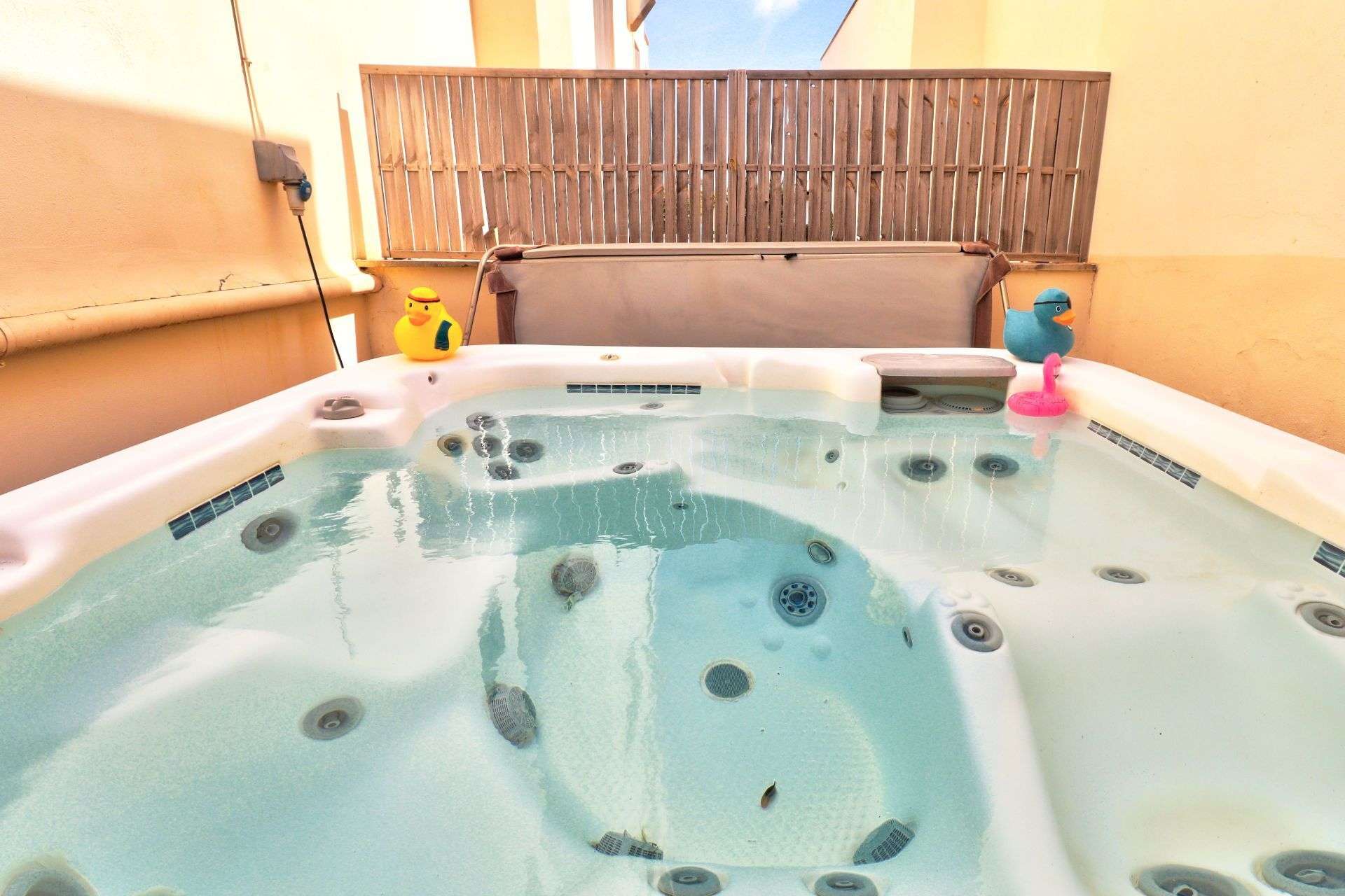 [object Object] - image