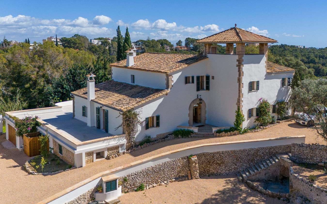 [object Object] - image