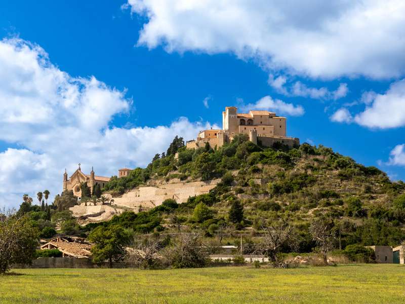 [object Object] - image