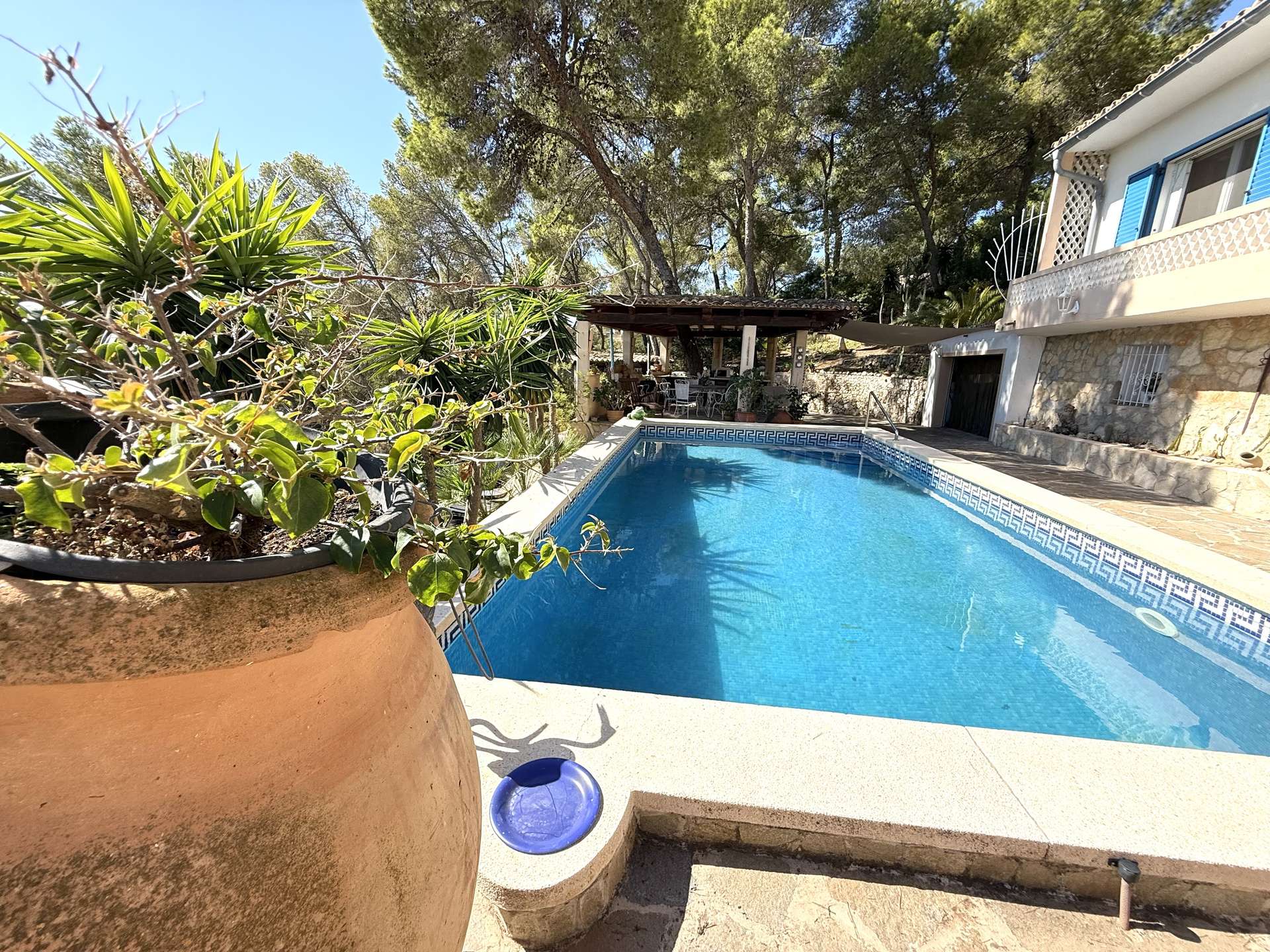 [object Object] - image