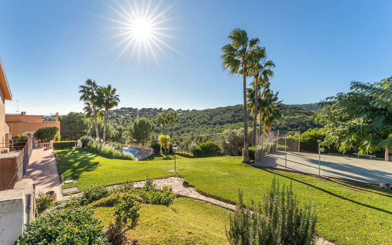 [object Object] - image