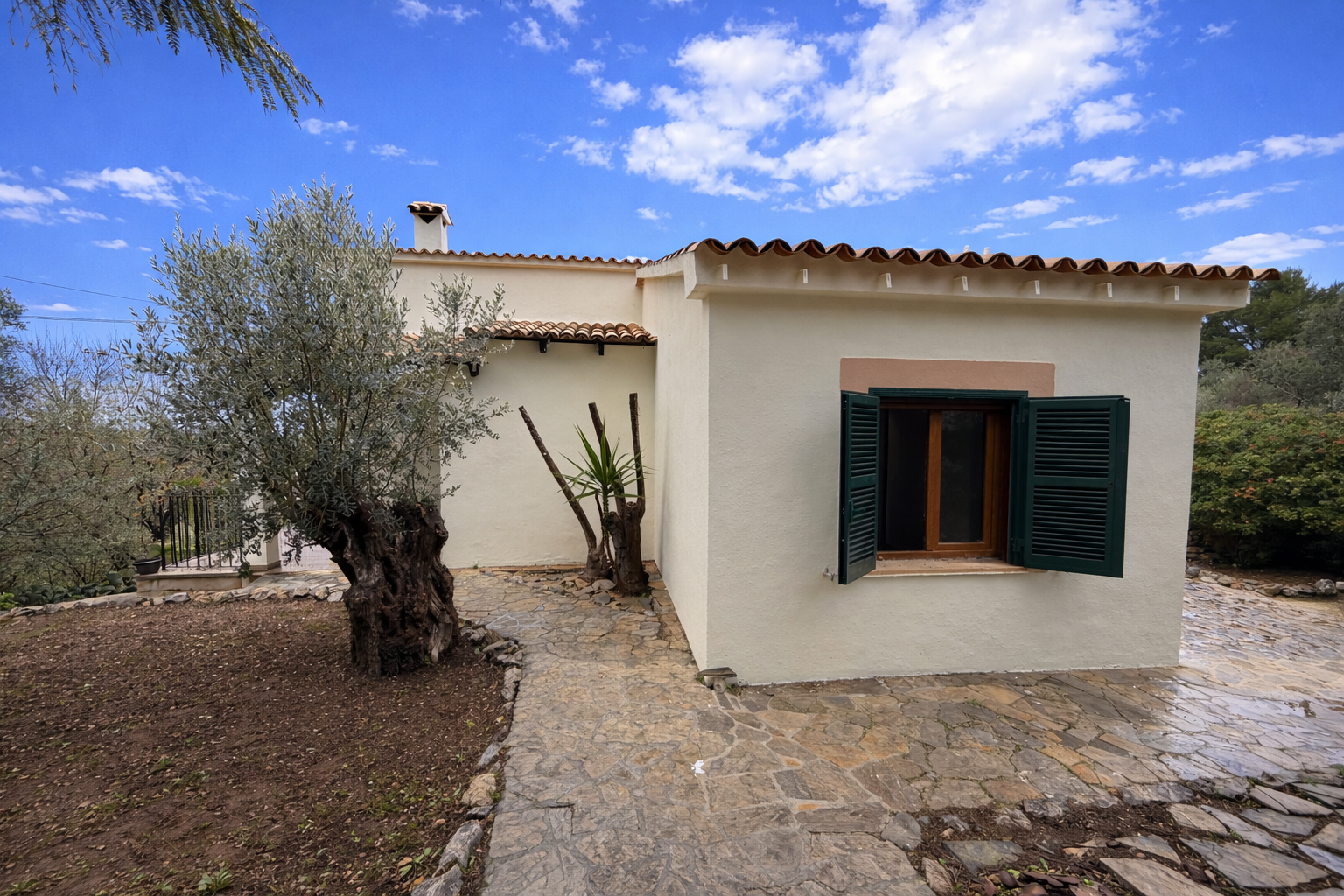 [object Object] - image