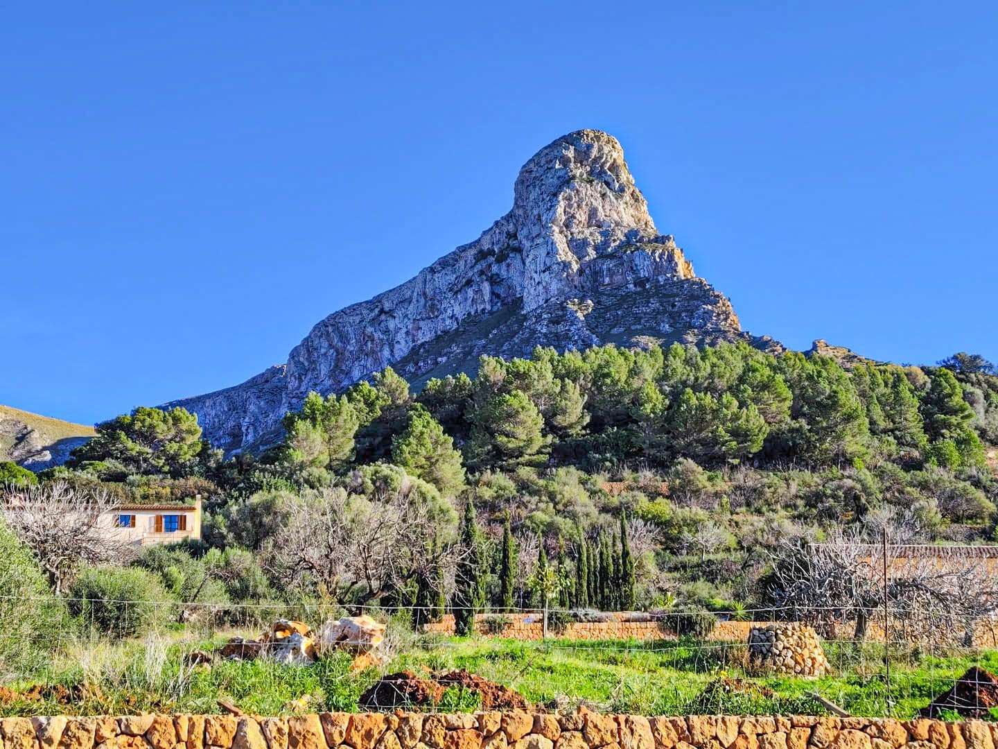 [object Object] - image