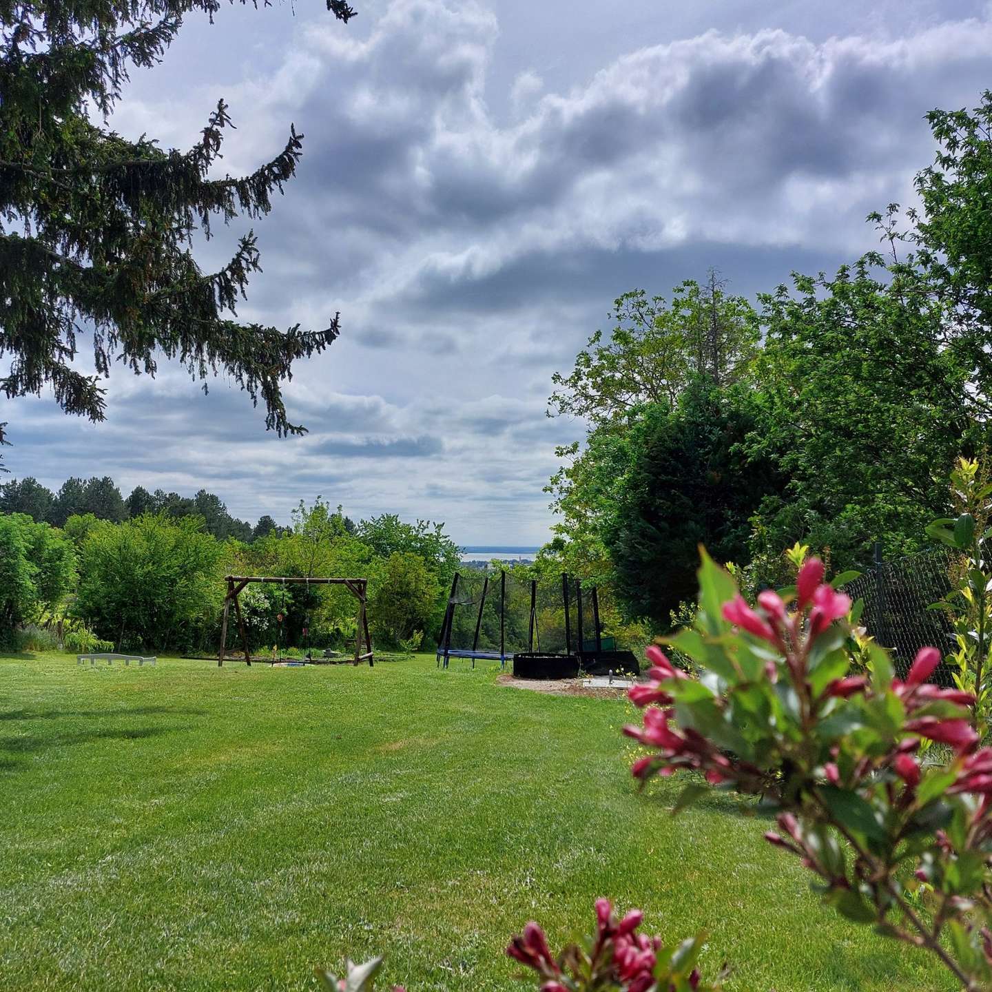 [object Object] - image