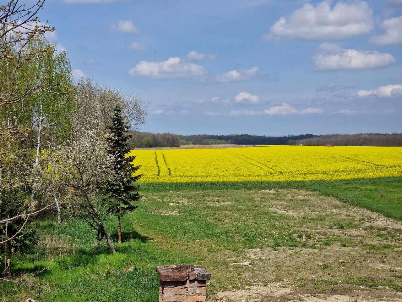 [object Object] - image