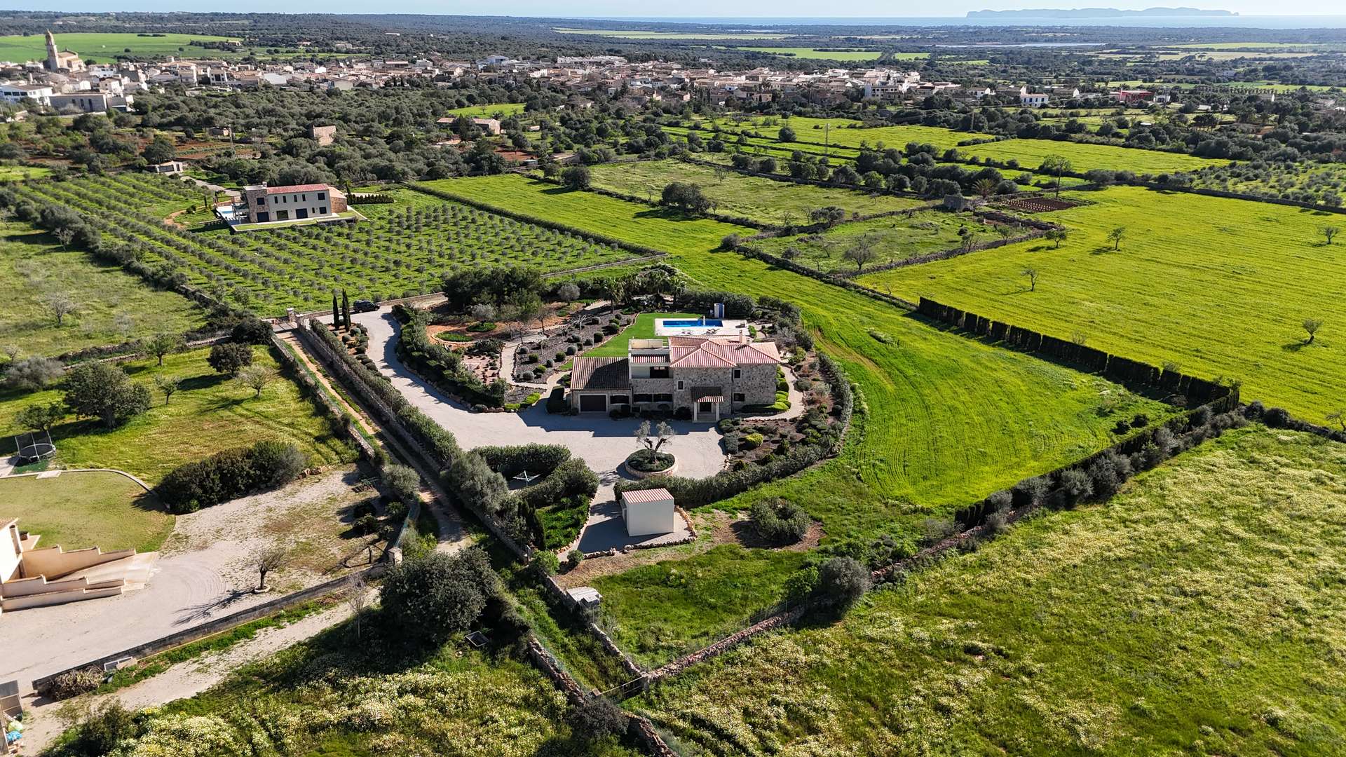 [object Object] - image