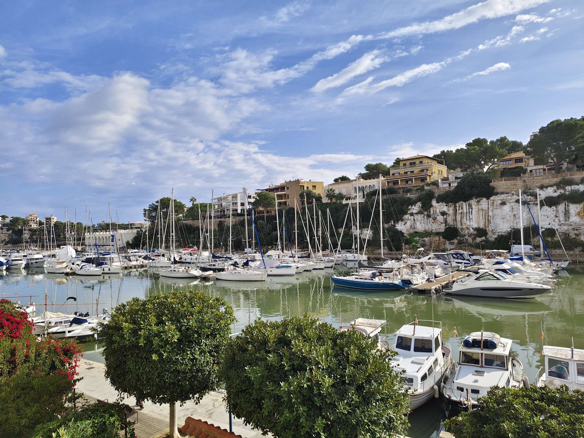 [object Object] - image