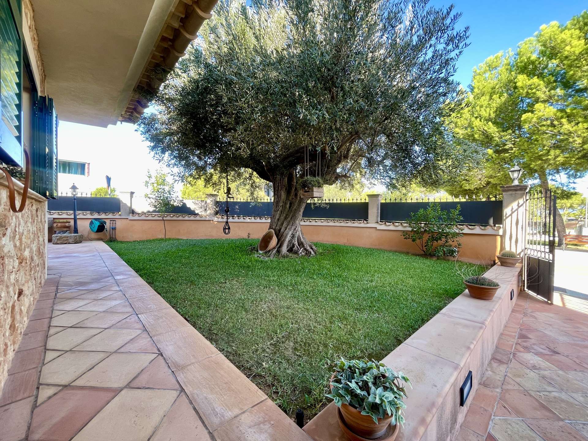 [object Object] - image