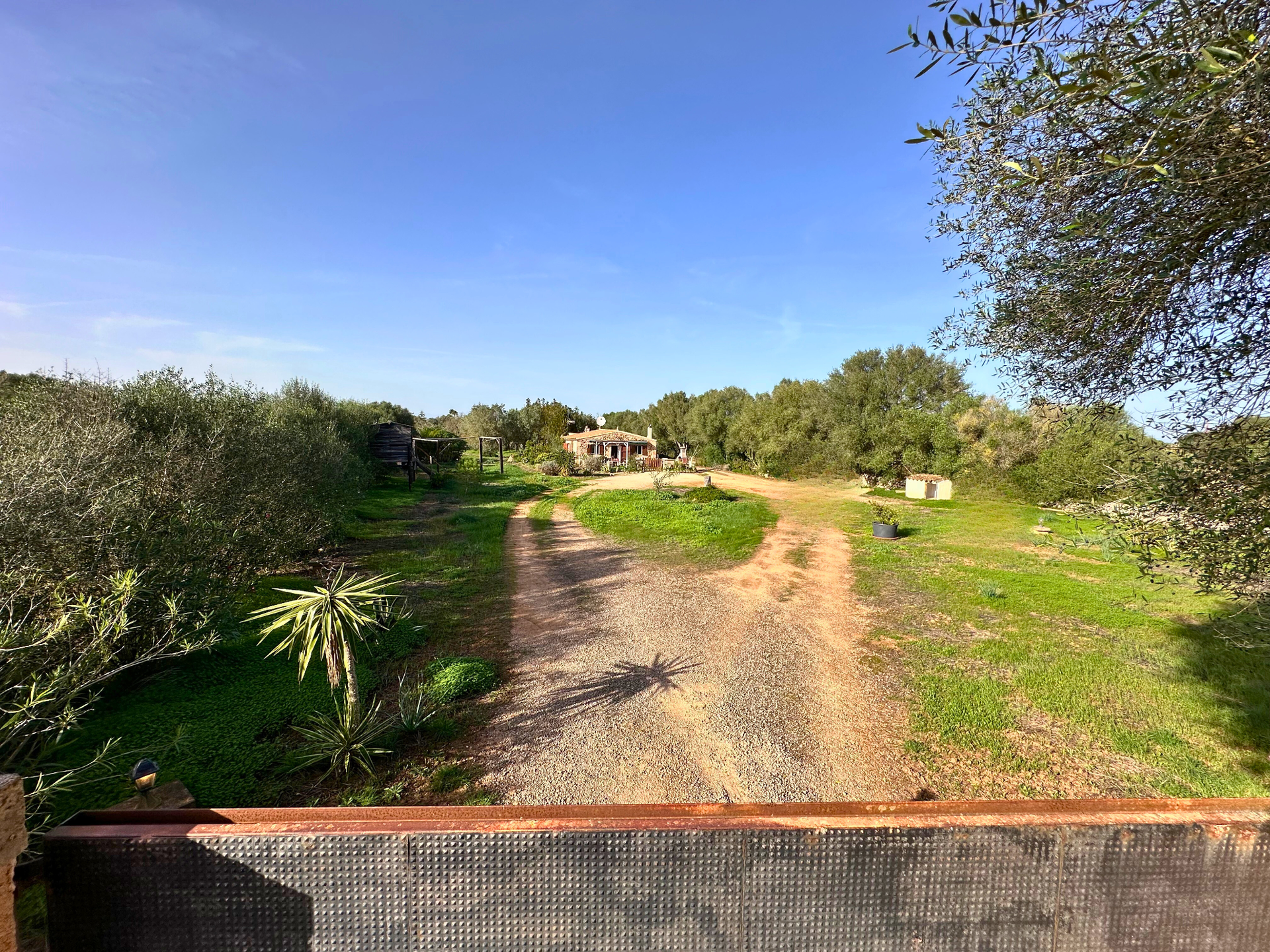 [object Object] - image