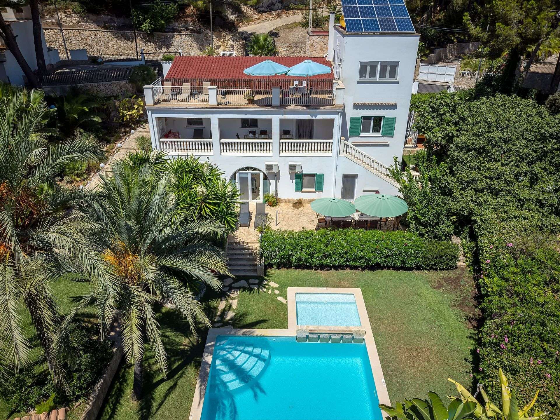 [object Object] - image