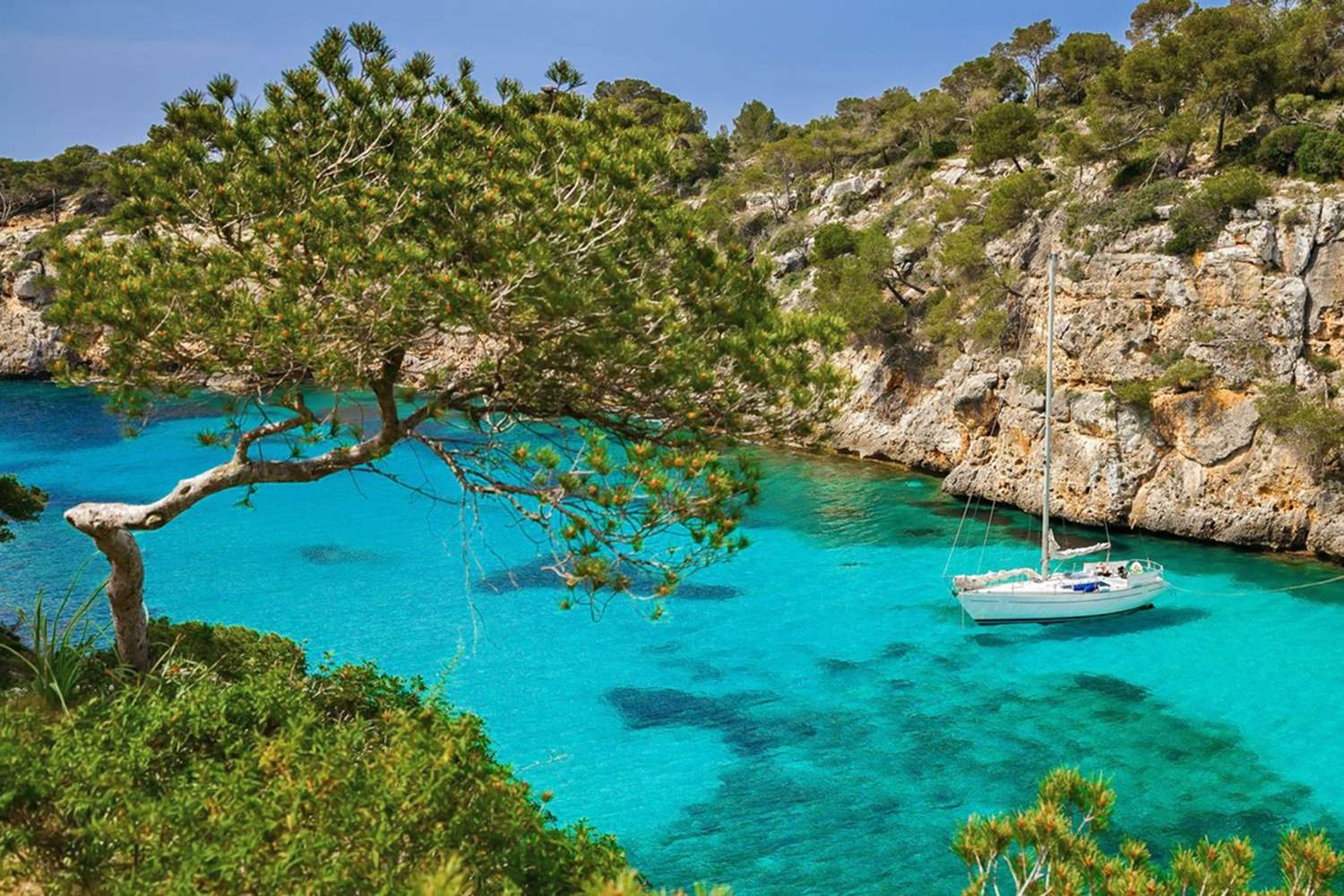 [object Object] - image