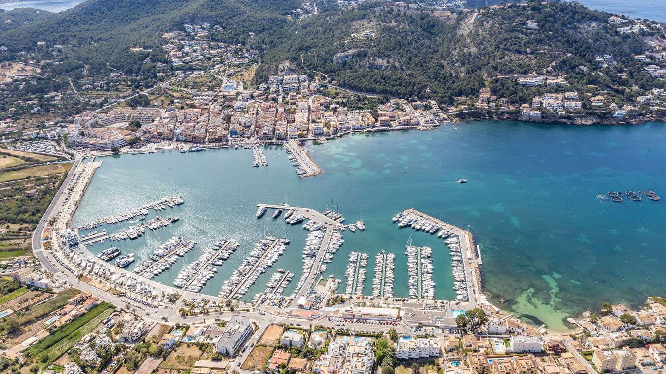 [object Object] - image