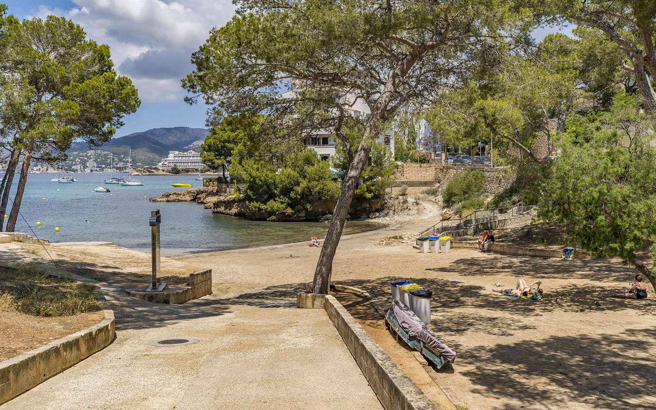 [object Object] - image