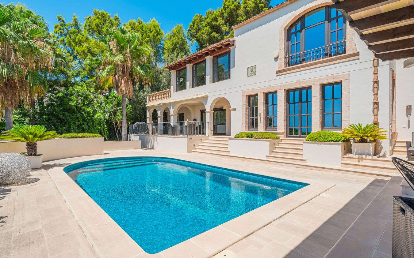 [object Object] - image