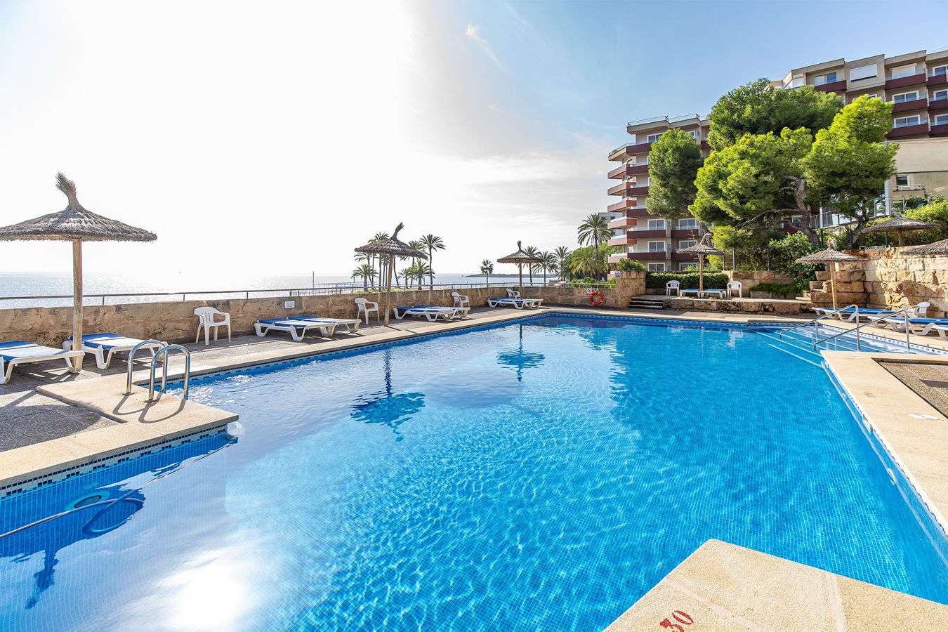 [object Object] - image