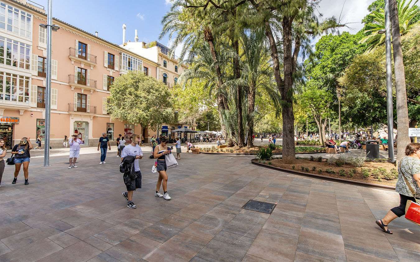 [object Object] - image