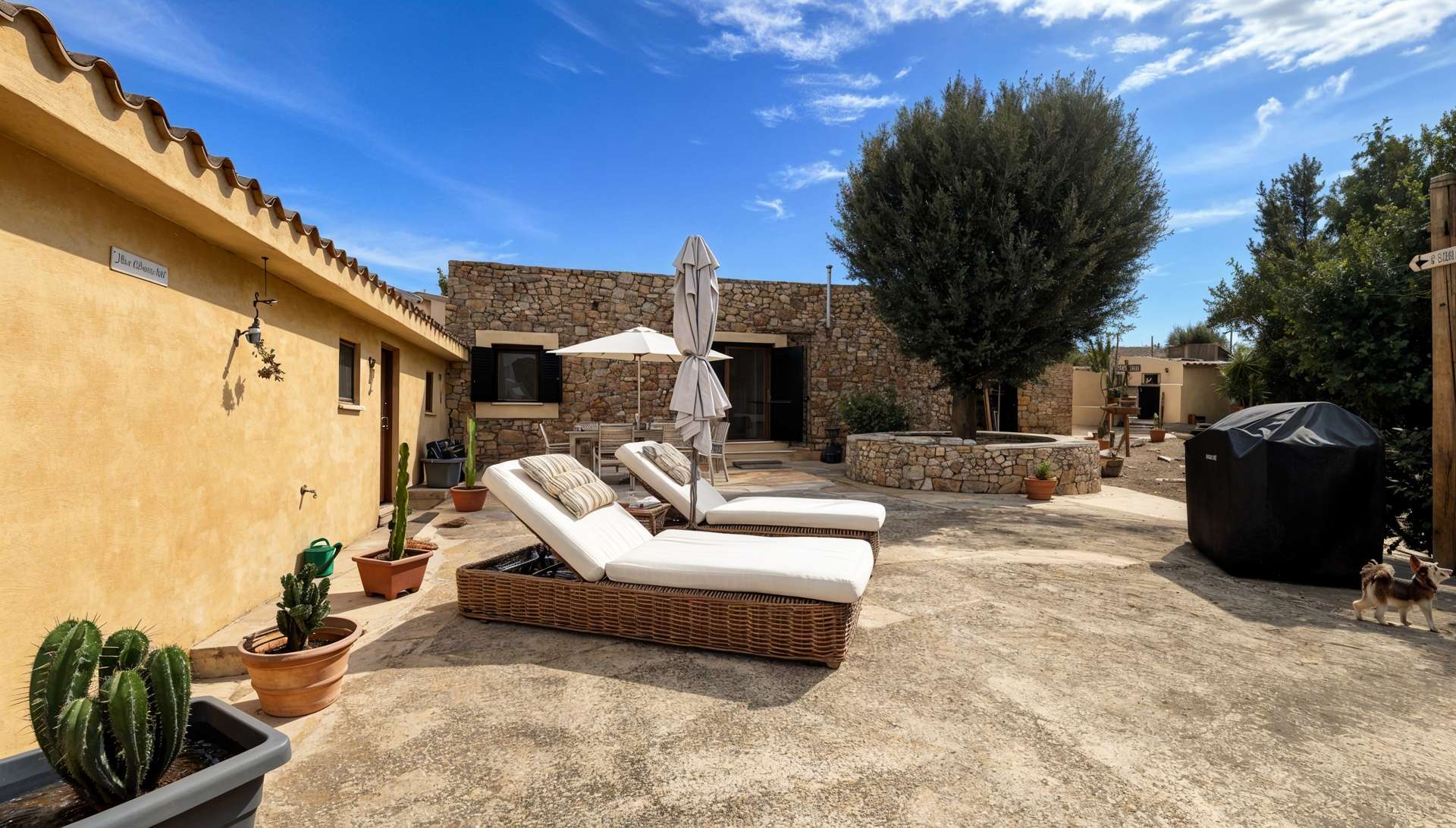 [object Object] - image