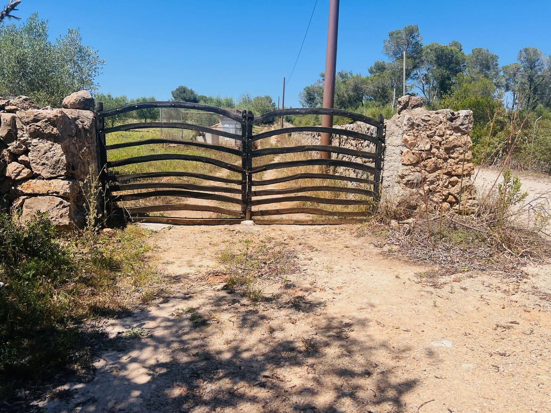 [object Object] - image