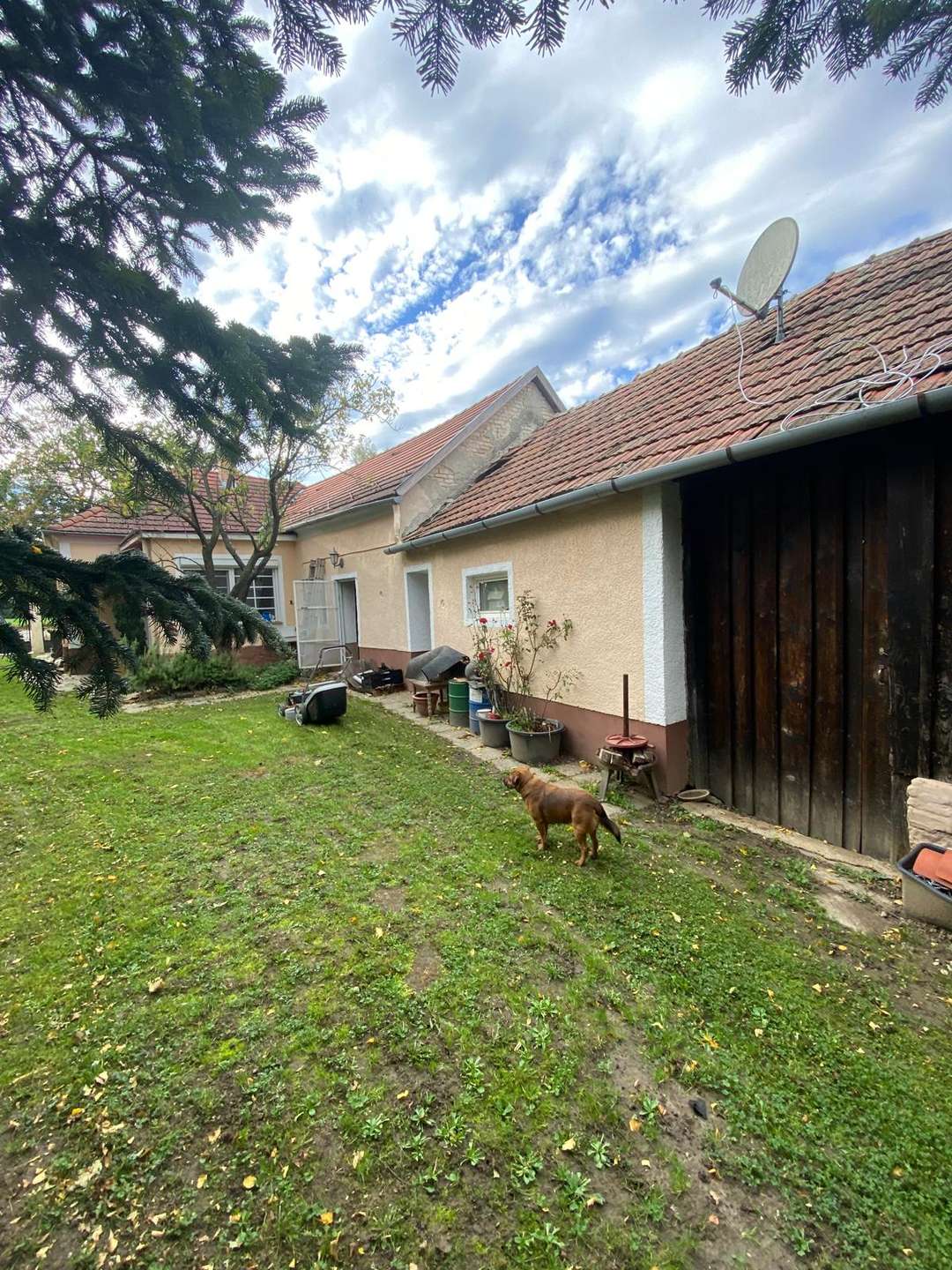 [object Object] - image