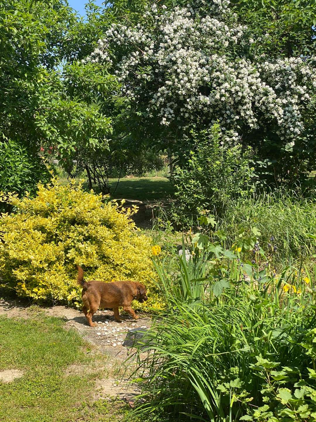 [object Object] - image