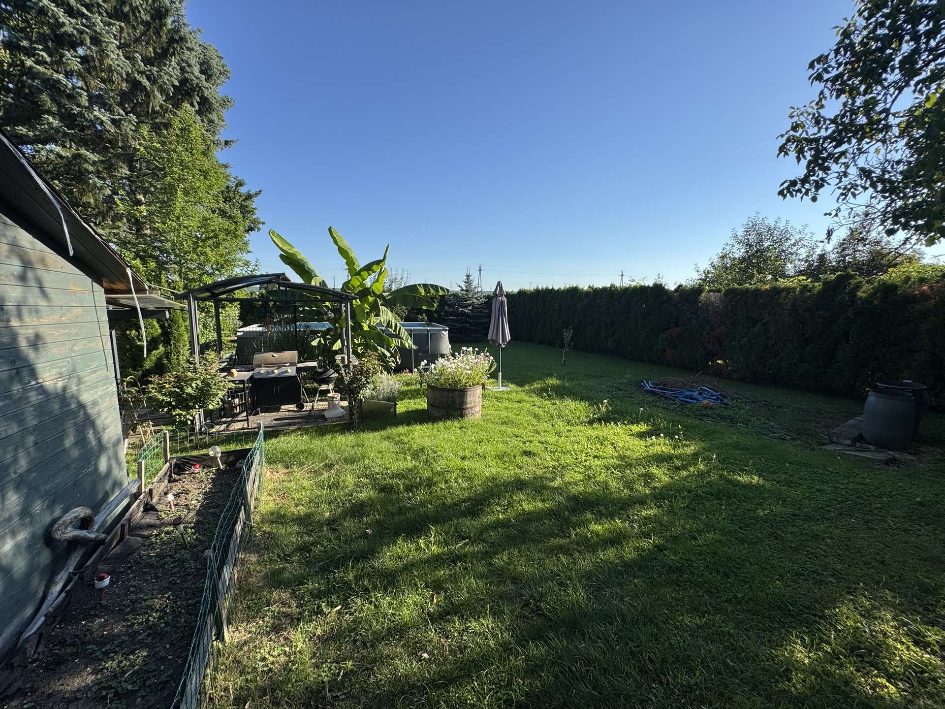 [object Object] - image