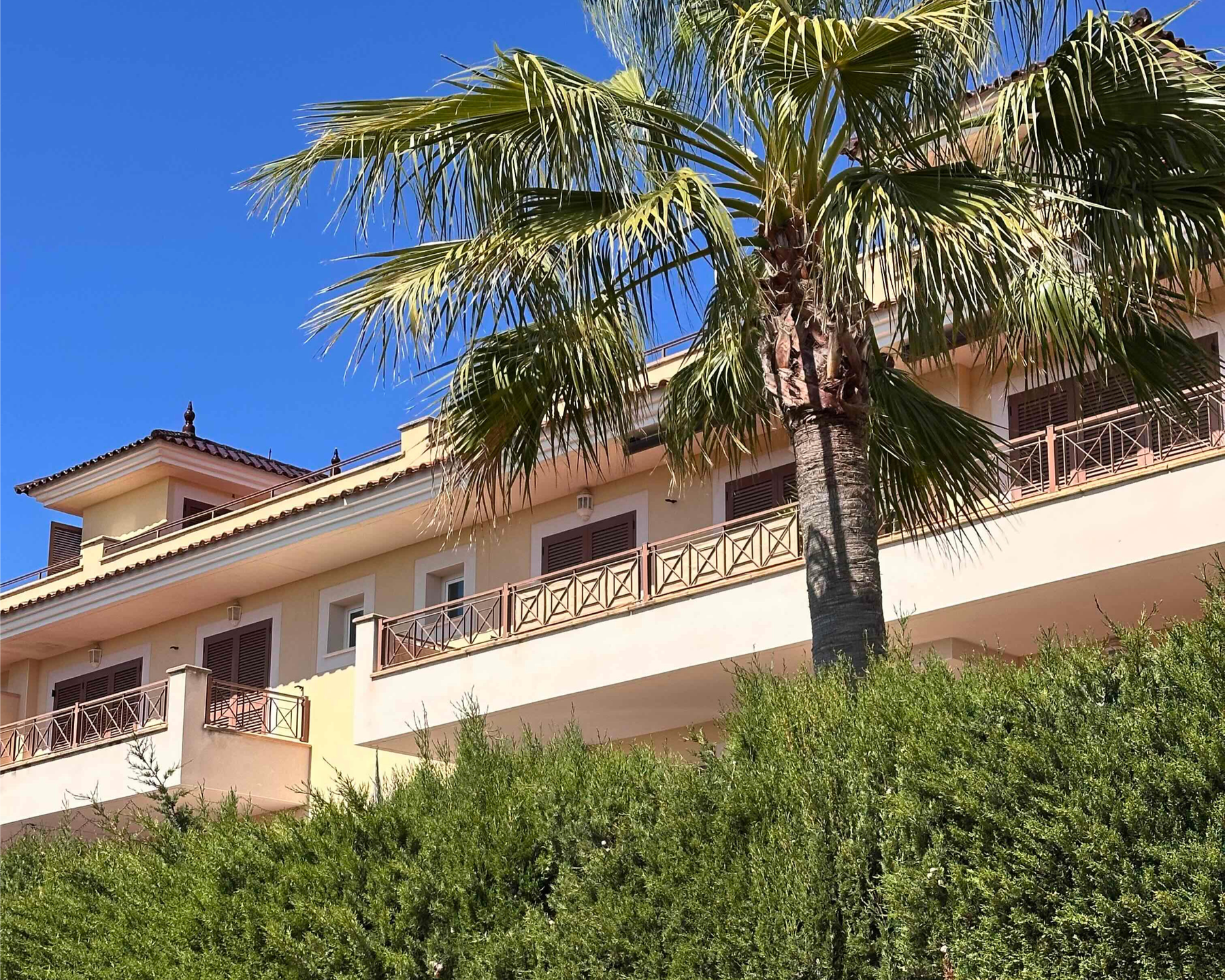 [object Object] - image