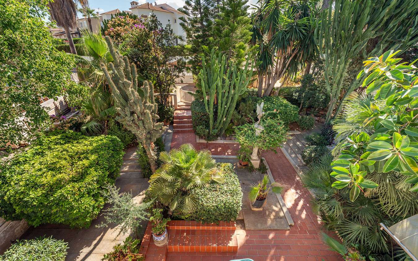 [object Object] - image