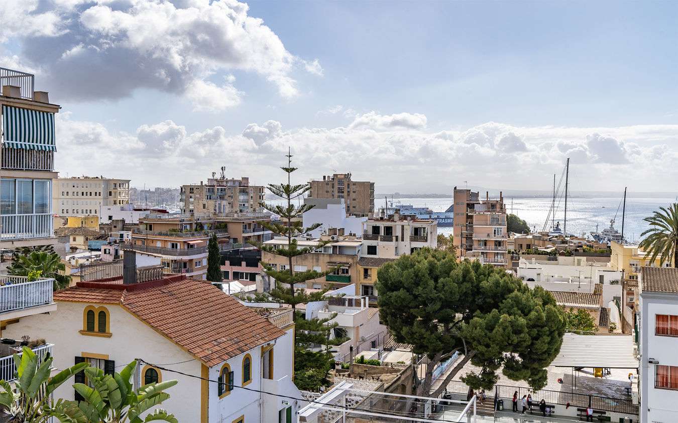 [object Object] - image