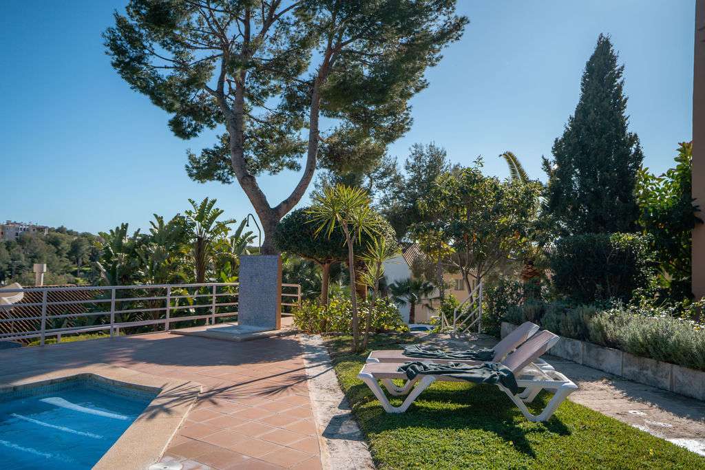 [object Object] - image