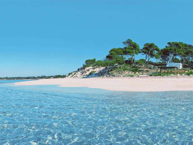 [object Object] - image