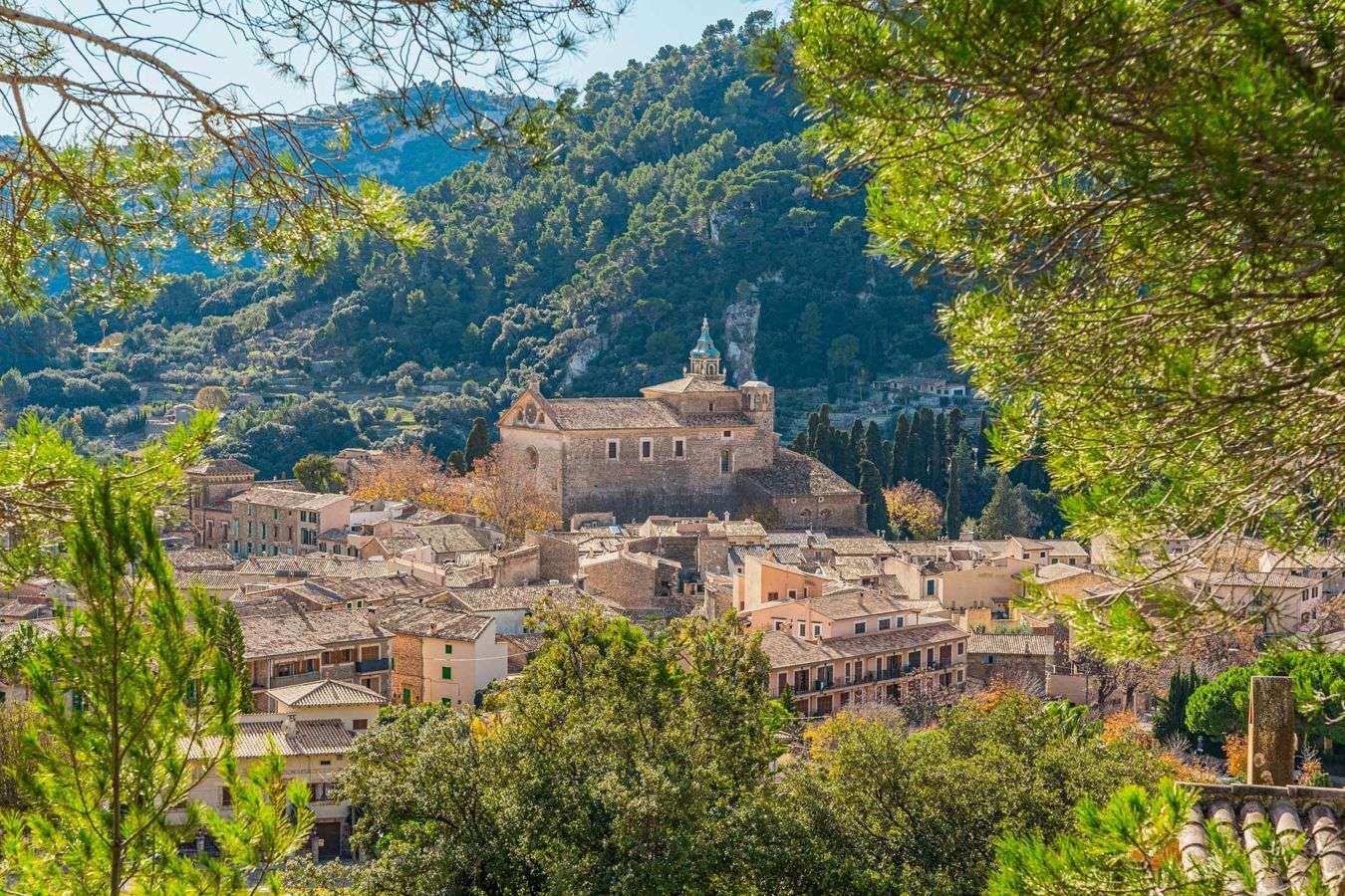 [object Object] - image