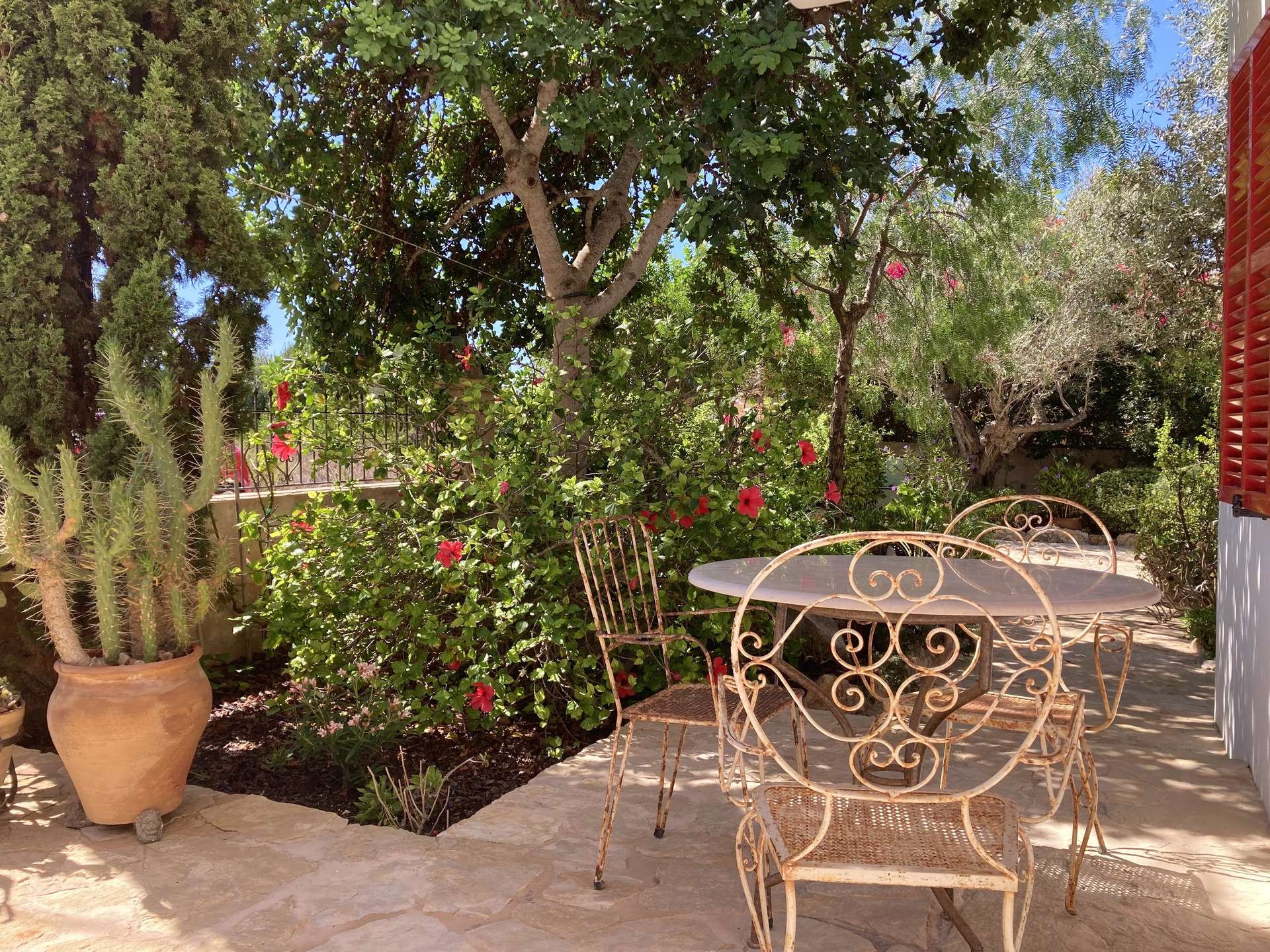 [object Object] - image