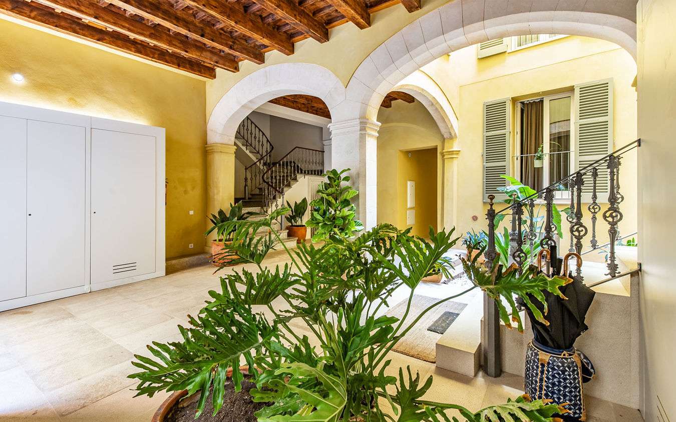 [object Object] - image